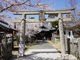 カメチャンさんの妙見神社（徳島県鳴門市）の投稿写真1