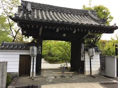 poporon̏Rːaւ̓eʐ^5