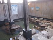 肫񂳂̍@͂̓̓eʐ^2