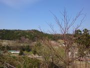 肫񂳂̍@͂̓̓eʐ^3