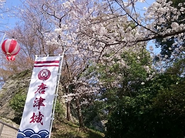 舞鶴公園のさくら_舞鶴公園の桜
