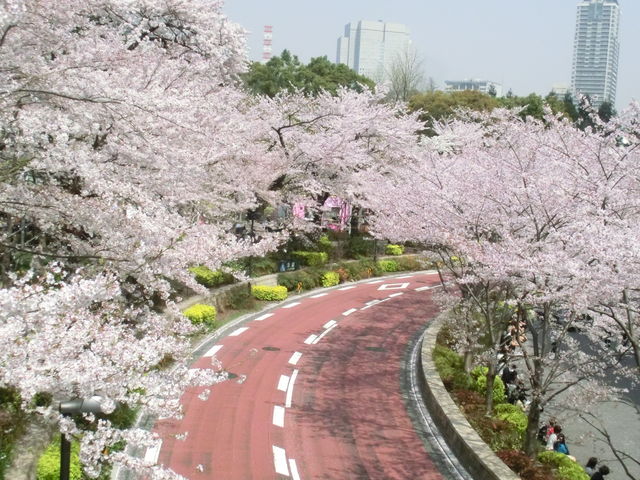 �����J_�����~�b�h�^�E��