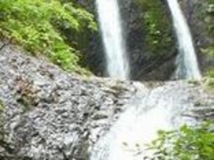 フルスピードさんの鶴ケ滝への投稿写真1