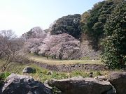 񂿂񂳂̖쉮Ղ̍̓eʐ^1