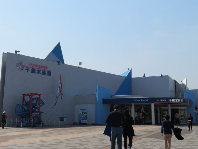 �O��_�T�P�̂ӂ邳�Ɛ�ΐ�����