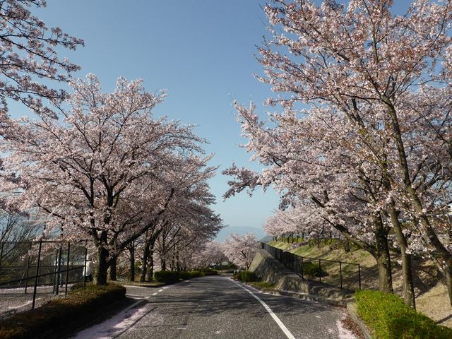 �t���[�c�����ɓo�铹_�J����t���[�c�����E�t���[�c�Z���^�[