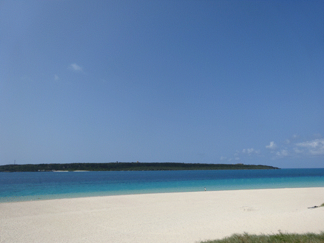 �{���ɃL���C�I_�ӂꂠ���̑O�l�C�l�L��