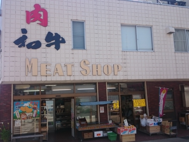 Ƒ傫ȏX̂悤ȓ_呺X