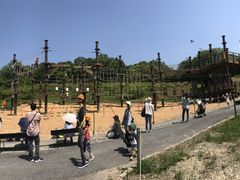 ̂̍䥗΂̃~[WA n[xXg̋uւ̓eʐ^1