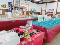 G̖؂̉ԃKeւ̓eʐ^1