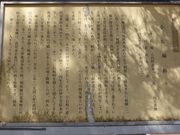 �C�[�X�g�E�b�h����̏��R�隬�̓��e�ʐ^2