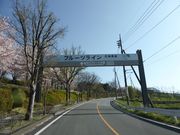 C[XgEbh̃t[cC̓eʐ^1