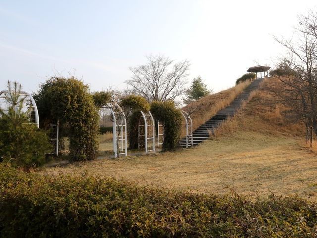 �V��͂܂��ł���_������Y���[�t�̐X