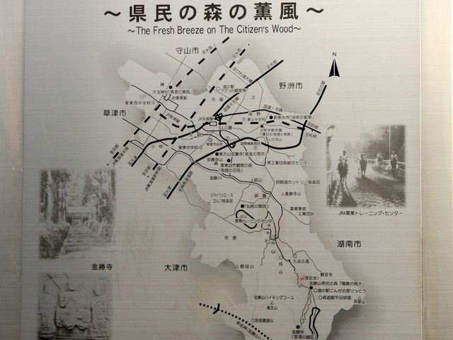 �I���s�S��_������Y���[�t�̐X