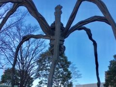 ʂʂ̘Z{؃qYւ̓eʐ^1