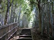 [ڂ̎R̎@Qґz̓̓eʐ^2