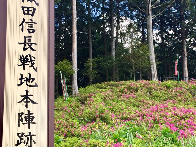 ƂĂYȎʐ^Ƃ邱Ƃo܂B̌iFƂĂǂłB_E݊y