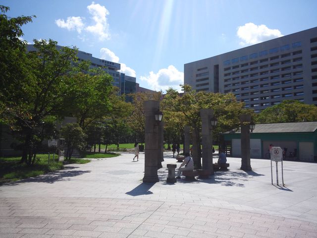 ����_�V�_��������