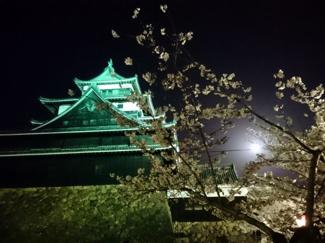 松江城山公園の桜】アクセス・営業時間・料金情報 - じゃらんnet