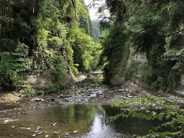 �O������_�{�V�k�J