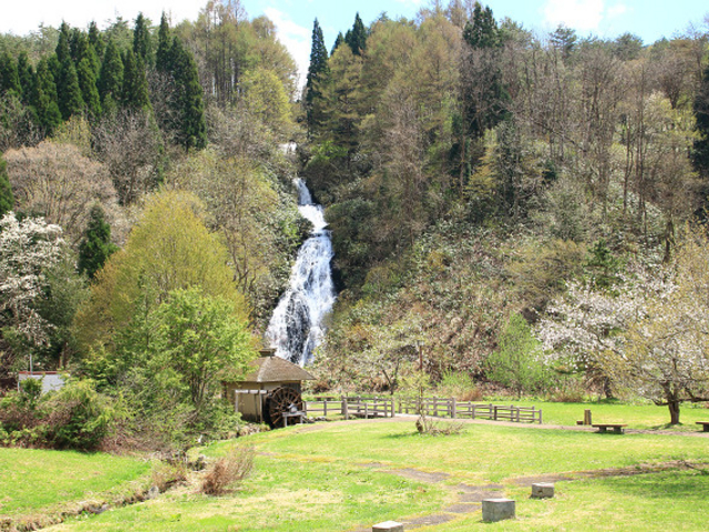 ��_���̉w����������