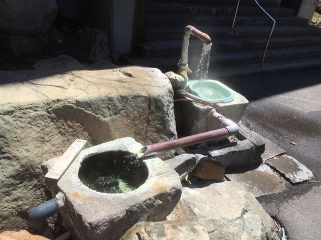 ����^�}�S�����܂� �������z�ɓ������Y��ȃG�������h�O���[����_��������