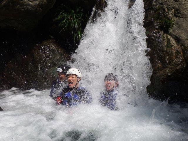 ���ق̏p�ɂē{���̑�s�A���ɂ�����܂��B_�ΔV����