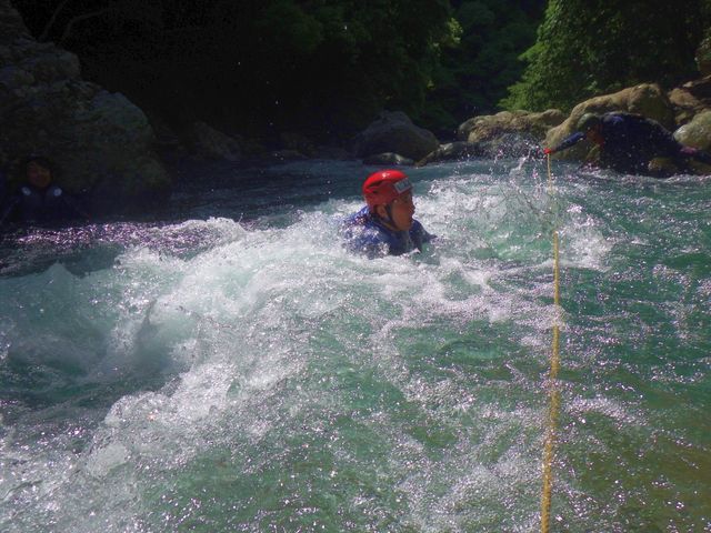 ���ق̏p�ɂČ���������̐�����؂�̌��ł����A��肽���l�����B_�ΔV����