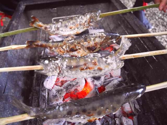 ���}���͎����Œ|�����h���Ƃ��납��A�V������t���Y�΂ŏĂ��グ��������͕ʊi�ł��B_�ΔV����