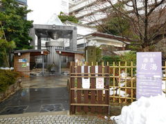 marimari����̌�������ւ̓��e�ʐ^1