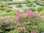 JOE̒|̌Ï̃ccW̓eʐ^1