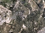 �ҁ[�̂���̖���܂��Ȃ��U��̓��e�ʐ^1