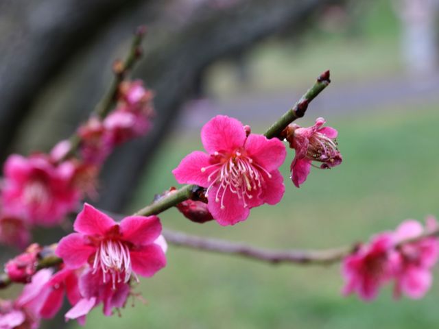 �g�~_����铌����