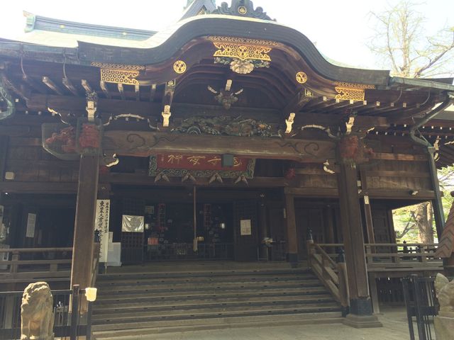 �S�q��_��_�S�q��_��