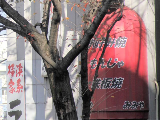 GĥDݏĂ 񂶂@݂݂̓eʐ^1