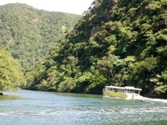 �C�����ǂ�����_�Y����V���D