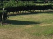 tXs[h̎ŐI[gLv̓eʐ^1