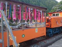 ���낽�񂳂�̍������J�S���ւ̓��e�ʐ^1