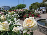 Todays̓̉w ߂ʂ܂̓eʐ^1