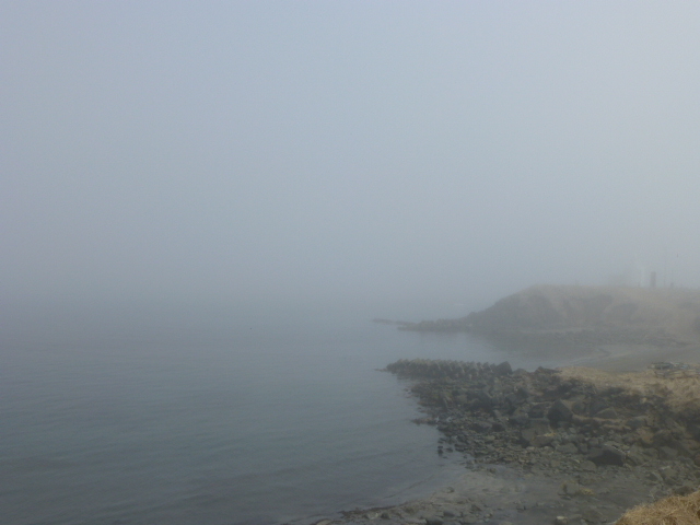 ������̌i�F�c_�[���z��