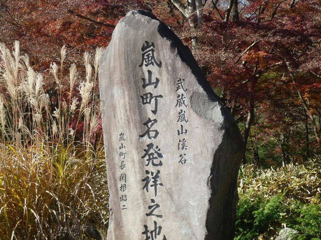 Todays̗΂̃gXgۑSRn̓eʐ^1