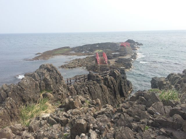 �g����̏�ɏ��グ��悤�ȕ��ł���_�����