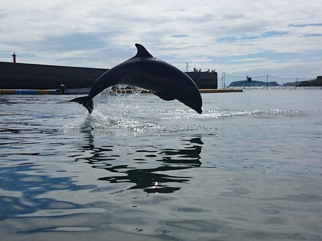 �C���J����_���ԉ꓇