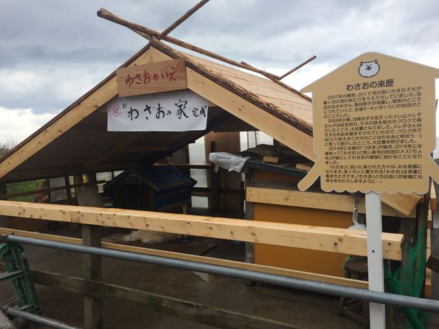 �킳���̉�_�����⏤�X