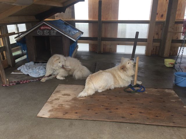 �E���킳���A���͂����_�����⏤�X