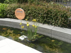 ibokororiPacelaipZ[jւ̓eʐ^1