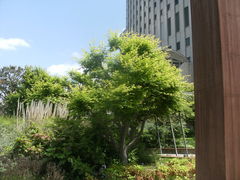 ibokororiPacelaipZ[jւ̓eʐ^3