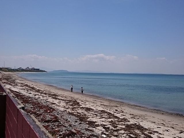 �C�݂��U�����o���܂���_R�P�X�P�@�C�݃h���C�u