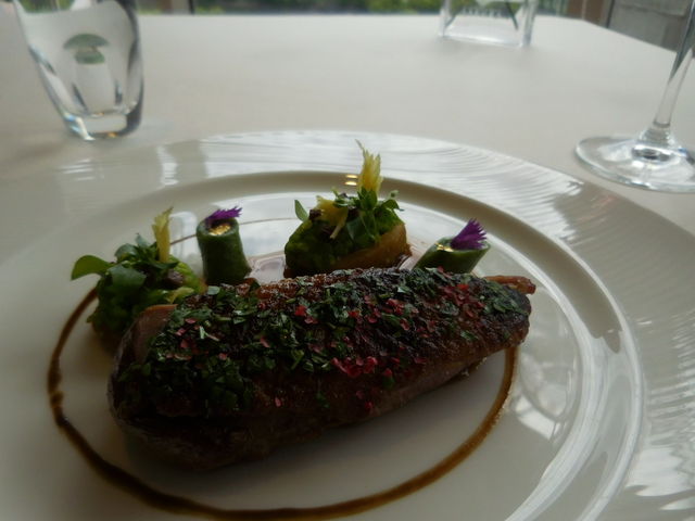 LOTTỸtX SAKURA̓eʐ^1