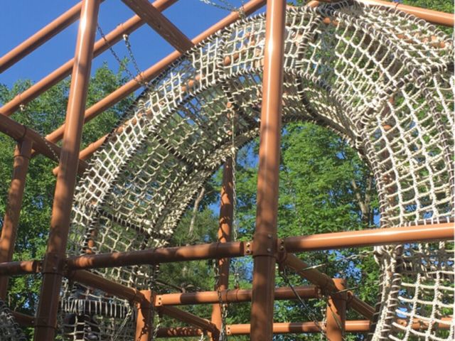 �������낢�A�X���`�b�N_���c���k�u�ˌ����ъԃA�X���`�b�N�R�[�X